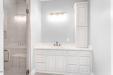 Popular Gina floorplan now available with limited lots - photo 11