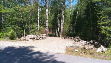 Lake Vermilion Lot For Sale in Beatty Twp Minnesota