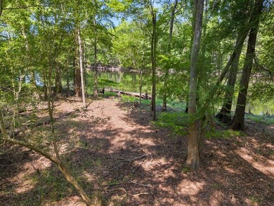 Suwannee River Acreage For Sale in Branford Florida