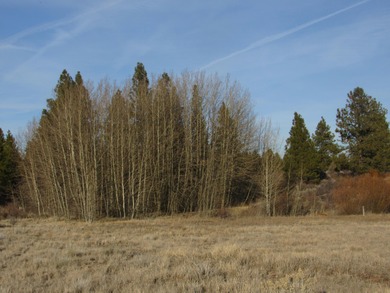 Agency Lake Lot For Sale in Chiloquin Oregon