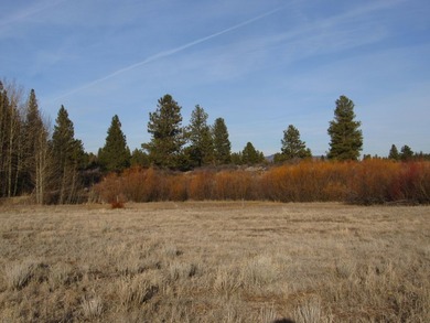 Over sized Oregon Shores II lot-.86/acre per the OSII info. This - photo 2