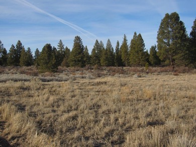 Over sized Oregon Shores II lot-.86/acre per the OSII info. This - photo 3