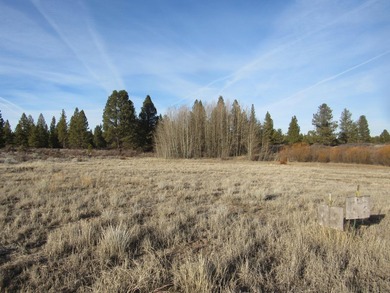 Over sized Oregon Shores II lot-.86/acre per the OSII info. This - photo 5