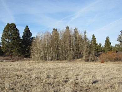 Over sized Oregon Shores II lot-.86/acre per the OSII info. This - photo 6