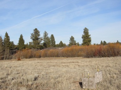 Over sized Oregon Shores II lot-.86/acre per the OSII info. This - photo 7