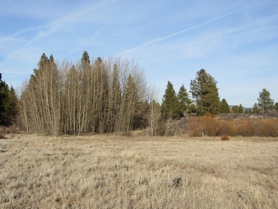 Over sized Oregon Shores II lot-.86/acre per the OSII info. This - photo 8