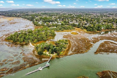 Build your dream Lowcountry home on this beautiful homesite in - photo 1