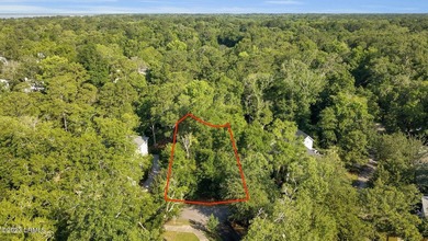 Build your dream Lowcountry home on this beautiful homesite in - photo 8