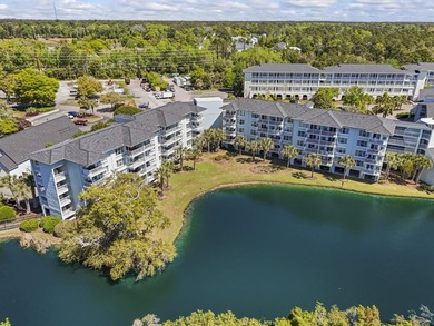 Fully furnished, second-floor one-bedroom, one-bathroom condo - photo 34
