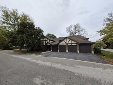 (private lake, pond, creek) Home For Sale in Palos Hills Illinois