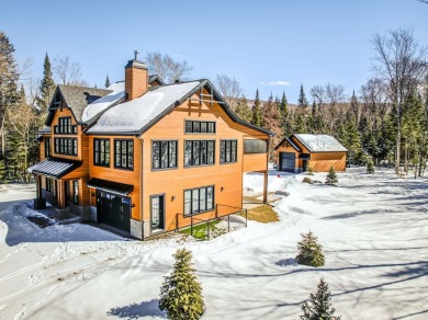 Lake Home For Sale in Lac-SupéRieur,