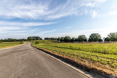 Each lot in Bellemead is prepped and ready for your vision. With - photo 3