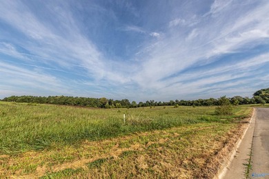 Each lot in Bellemead is prepped and ready for your vision. With - photo 4