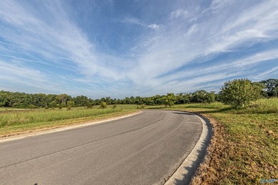 Each lot in Bellemead is prepped and ready for your vision. With - photo 5