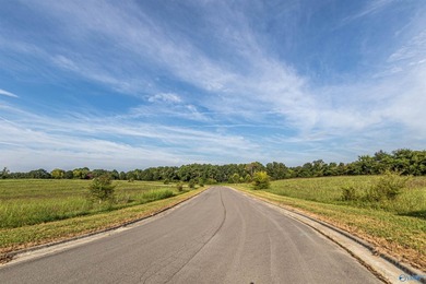 Each lot in Bellemead is prepped and ready for your vision. With - photo 7