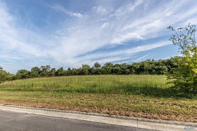 Each lot in Bellemead is prepped and ready for your vision. With - photo 8