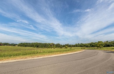 Each lot in Bellemead is prepped and ready for your vision. With - photo 6