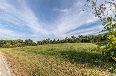 Each lot in Bellemead is prepped and ready for your vision. With - photo 9