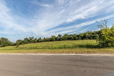 Each lot in Bellemead is prepped and ready for your vision. With - photo 10