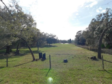 Lake Acreage For Sale in Hernando, Florida