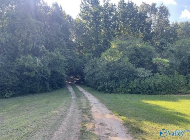 Lake Guntersville Acreage For Sale in Guntersville AL