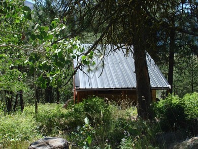 Additional listing photo 1