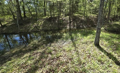Located on Little Mustang Cove in the Lake Fork Reservoir is - photo 4