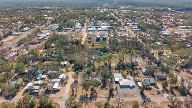 Discover a truly unique home in the heart of Steinhatchee - photo 37
