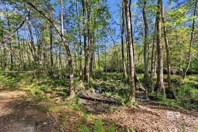 Ready to build your dream home?This beautiful waterfront lot in - photo 2