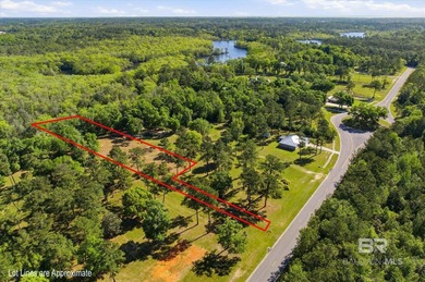 Ready to build your dream home?This beautiful waterfront lot in - photo 5