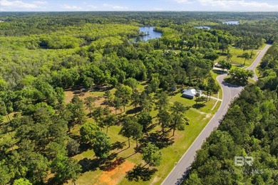 Ready to build your dream home?This beautiful waterfront lot in - photo 6