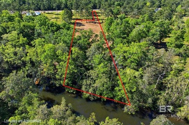 Ready to build your dream home?This beautiful waterfront lot in - photo 9