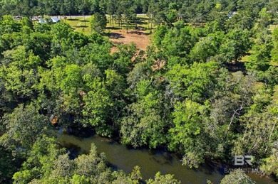 Ready to build your dream home?This beautiful waterfront lot in - photo 10