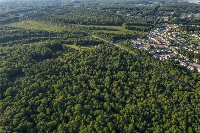Parcels B=6.71 acres, C + D=25.5 acres. Parcels B, C & D are all - photo 8