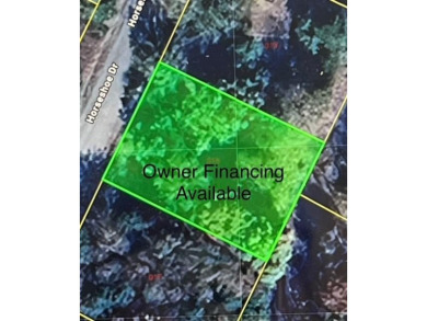 Table Rock Lake - Carroll County Lot For Sale in Holiday Island Arkansas