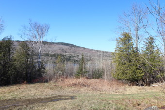 SANDY RIVER PLT - SECLUDED, lightly wooded 2.71 acre parcel - Lake Acreage For Sale in Sandy River Plt, Maine