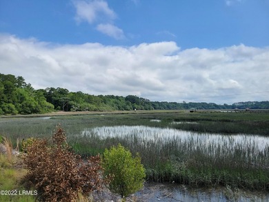 Extremely visible 1.3 acre lot on Highway 21 in Beaufort SC - photo 1