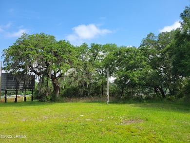 Extremely visible 1.3 acre lot on Highway 21 in Beaufort SC - photo 2
