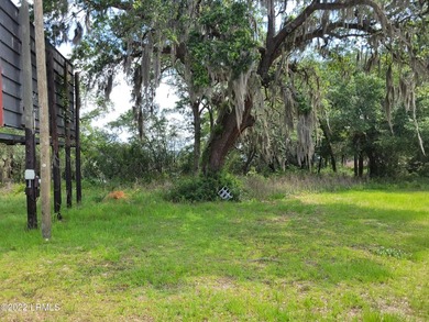 Extremely visible 1.3 acre lot on Highway 21 in Beaufort SC - photo 3