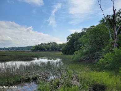 Extremely visible 1.3 acre lot on Highway 21 in Beaufort SC - photo 4