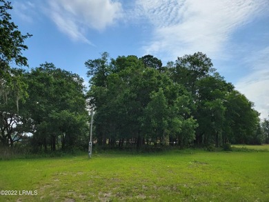 Extremely visible 1.3 acre lot on Highway 21 in Beaufort SC - photo 5