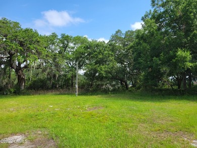 Extremely visible 1.3 acre lot on Highway 21 in Beaufort SC - photo 6