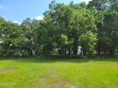 Extremely visible 1.3 acre lot on Highway 21 in Beaufort SC - photo 7