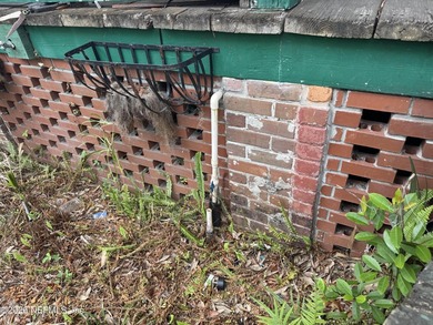 A rare investment opportunity in the historic heart of Jax's - photo 45