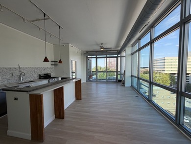 Southeast facing Balcony! Experience modern urban living at its - photo 3