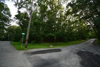 Crandon Lake Lot For Sale in Stillwater Twp. New Jersey