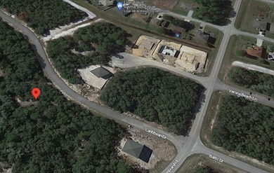 Lake Marion - Polk County Lot For Sale in Poinciana Florida