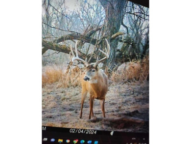 Chippewa River Acreage Sale Pending in Arkansaw Wisconsin