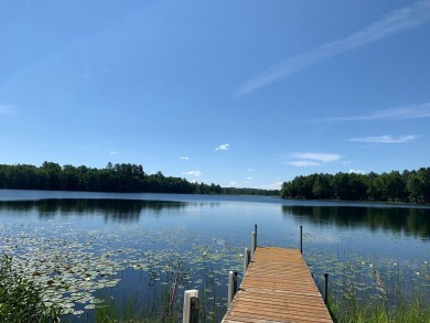 Lake Acreage For Sale in Mercer, Wisconsin