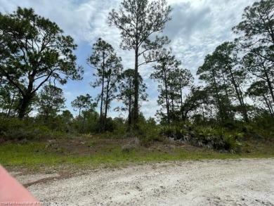 Lake Hill Lot For Sale in Lake Placid Florida
